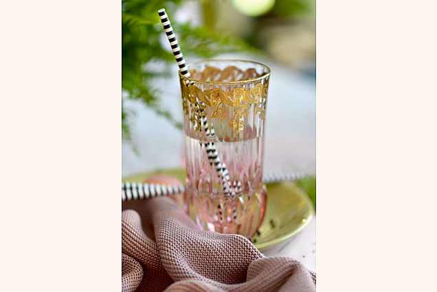 Gold-Decorated Spring-SD Water Glasses
