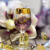 Bejrut Violet-BBE Vodka Shot Glasses 35ml