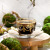 Royal-RYI Espresso Cups with Saucers