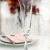 Beautiful New York-NYAS Platinum Champagne Flutes