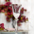 Elegant New York-NYDS Platinum Liqueur Glasses