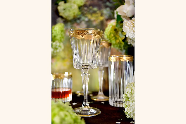 Stylish Crystal Emma Water Goblets