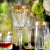 Stylish Crystal Emma Water Goblets