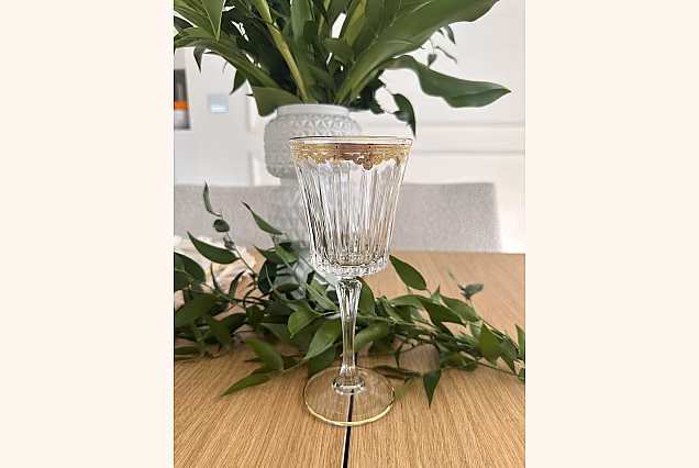Stylish Crystal Emma Water Goblets