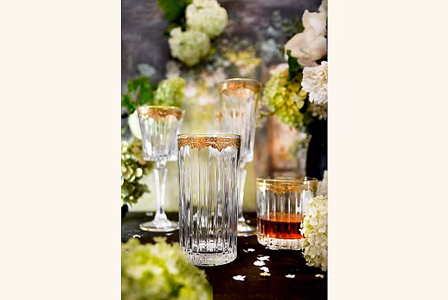 Stylish Emma Highball Glasses