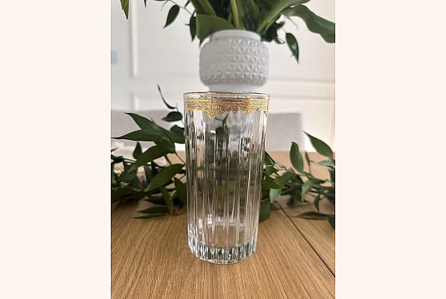 Stylish Emma Highball Glasses