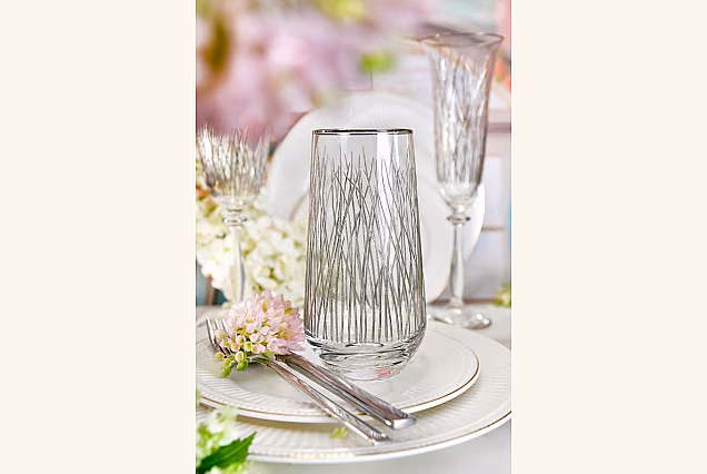 Bloom Platin-BPD Elegant Drinks Glasses with Platinum, Set of 6