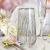 Bloom Platin-BPD Elegant Drinks Glasses with Platinum, Set of 6