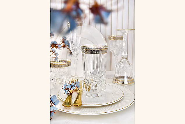Elegant Sofia Crystal-SCD Water Glasses with Platinum Decoration