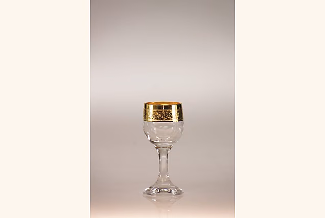 Gilded Ambasador-AL Vodka Shot Glasses 25ml