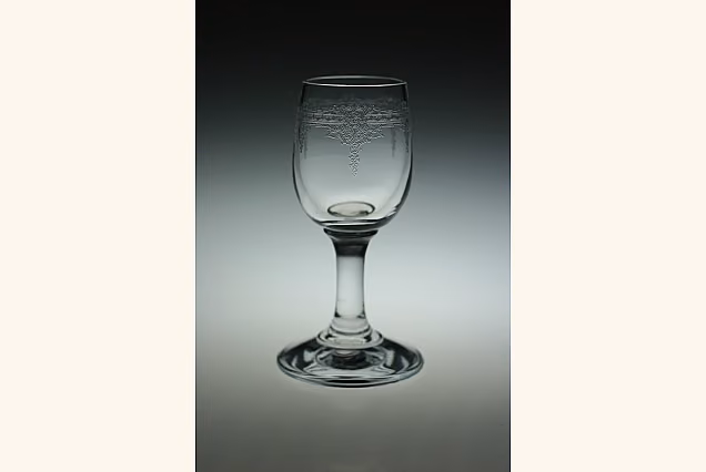 Verona-VRJ Vodka Shot Glasses 35ml
