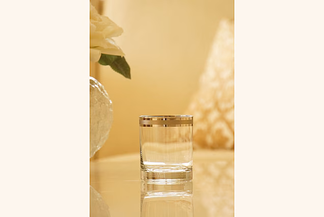 Satin Platinum-SPN Tumblers 300ml