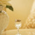 Satin Platinum-SPI Vodka Shot Glasses 25ml