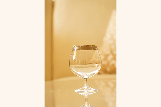 Satin Platinum-SPD Cognac Glasses 400ml