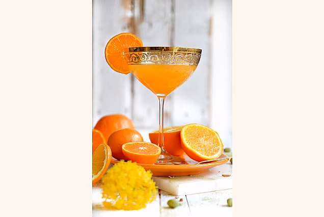 Volga Gold-VGD Martini Glasses 340ml
