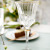 Beautiful Water Goblets 280ml with Gold Decoration ADAGIO GOLD-ADGB