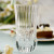 Elegant Water Glasses with Platinum Rim ADAGIO PLATINUM-ADPD
