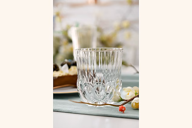 Luxury Whisky Tumblers ADAGIO PLATINUM-ADPE