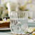 Luxury Whisky Tumblers ADAGIO PLATINUM-ADPE